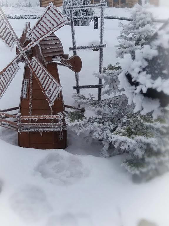 Willa Posrednia Zakopane Eksteriør billede